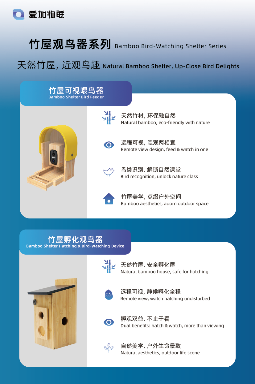 单页文件_复制_画板 1-07.png